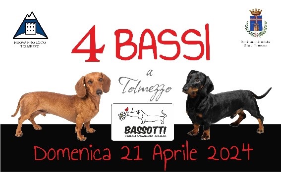 4 bassi a tolmezzo evento correlato festa di primavera 2024